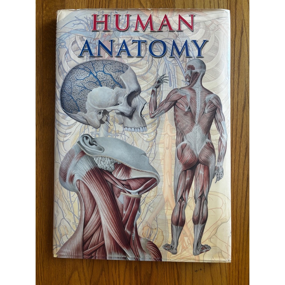 Human Anatomy Oversized Hardcover Medical Reference Book Illustrated 1844060795